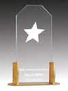 Jade Acrylic Rising Star Award with Brass Base