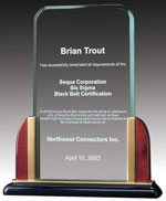 9" Premium Acrylic Award