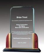 9" Premium Acrylic Award