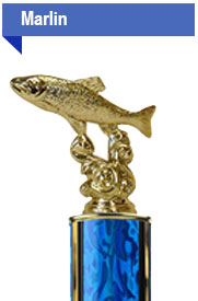 trout Trophy