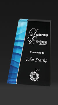 8 inch Aquatic Art Acyrlic Award