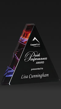 8 inch Rock Art Acyrlic Award