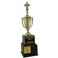 Achievement Perpetual Trophies