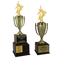 Dance Perpetual Trophies