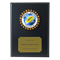 Fantasy Football Plaque Trophies