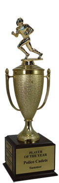 Champion Fantasy Football Cup Trophy
