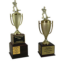 Hockey Perpetual Trophies