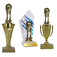 Horse Rear Traditional Trophies