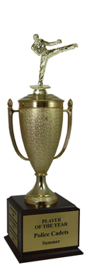 Champion Karate Cup Trophy