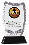 MVP Ice Award