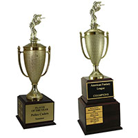 Paintball Perpetual Trophies