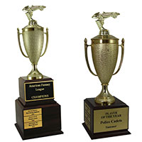 Pinewood Derby Perpetual Trophies