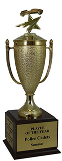 Champion Pinewood Derby Star Cup Trophy