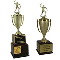 Ping Pong Perpetual Trophies