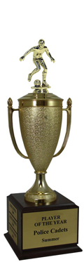 Champion Soccer Cup Trophy