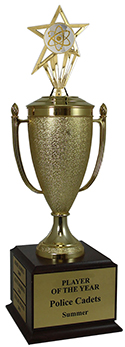 Science Champion Cup Trophy
