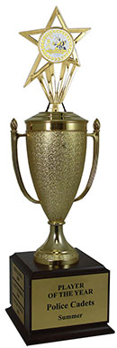 Spelling Insert Star Champion Cup Trophy