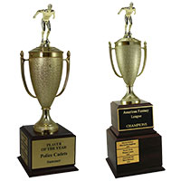 Swimming Perpetual Trophies