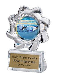 Swimming Sunburst Acrylic Award