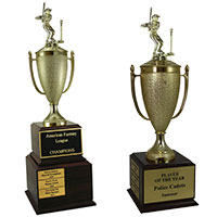 Tball Perpetual Trophies