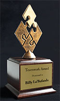 Teamwork Champion Award