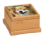 Small Color Photo Pet Urn