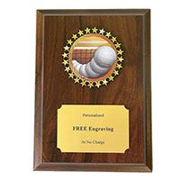 Volleyball  Trophy Plaques