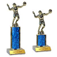 Volleyball Traditional Trophies