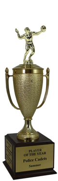 Champion Volleyball Cup Trophy
