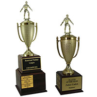 Wrestling Perpetual Trophies